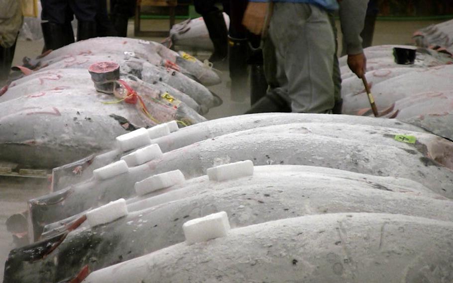 The tuna auctions at Tokyo’s Tsukiji fish market are high-speed affairs that are over in just a few minutes.