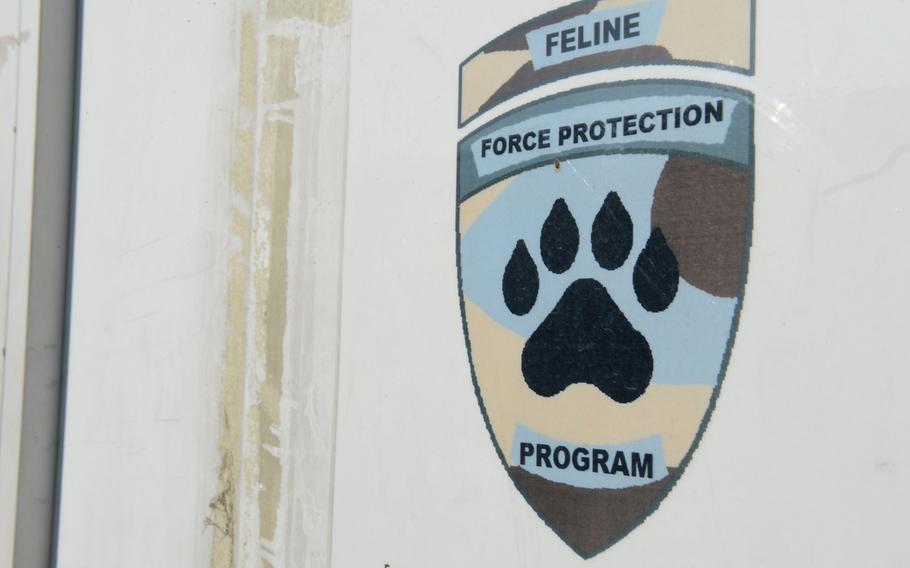 The Feline Force Protection Program's office at NATO's Resolute Support headquarters in Kabul, Afghanistan, on Nov. 8, 2016. The program vaccinates, spays and neuters cats that are used to keep other unvaccinated cats from the base.