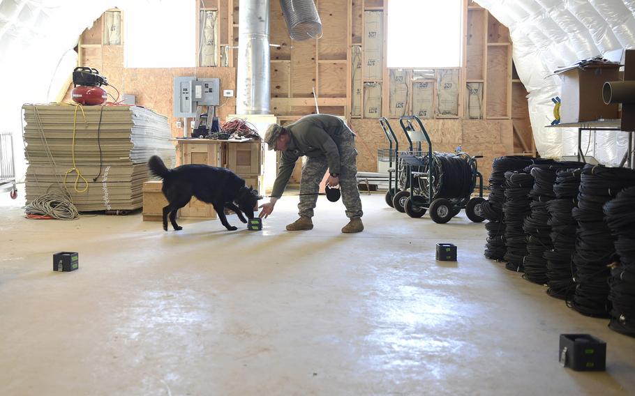 Army Specialist Gregory Taflinger familiarizes his working dog, Lucky 6, with the Mixed Odor Delivery Devices during Office of Naval Research-sponsored research conducted at the U.S. Army's Blossom Point Research Facility under its Expeditionary Canine Sciences Program. 
