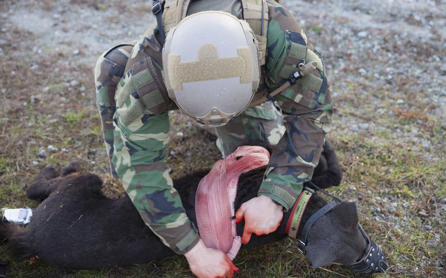 A K-9 handler with U.S. Marine Corps Forces, Special Operations Command, controls a laceration on a realistic "robot dog" during medical training at Stone Bay on Marine Corps Base Camp Lejeune, N.C., Dec. 1, 2017. During this training, handlers practice applying medical aid on the robot dog for the first time, which is in its final stages of testing and development.