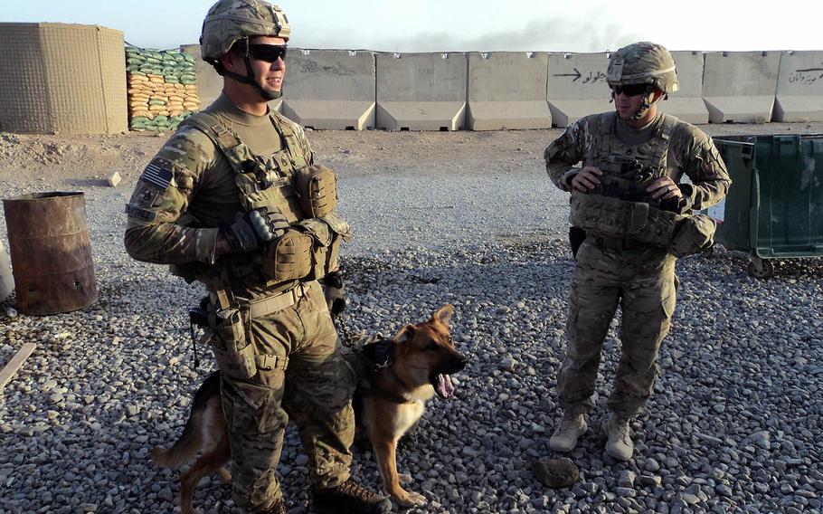 133p bs
Staff Sgt. Shawn Martinez (left) and Staff Sgt. Ryan Risher (right), both assigned to the 2nd Battalion, 32nd Field Artillery, 4th Infantry Brigade Combat Team, 1st Infantry Division, stand with Bono after returning from a patrol in Afghanistan in 2012. Martinez, Bono's handler on that deployment, later adopted the dog.