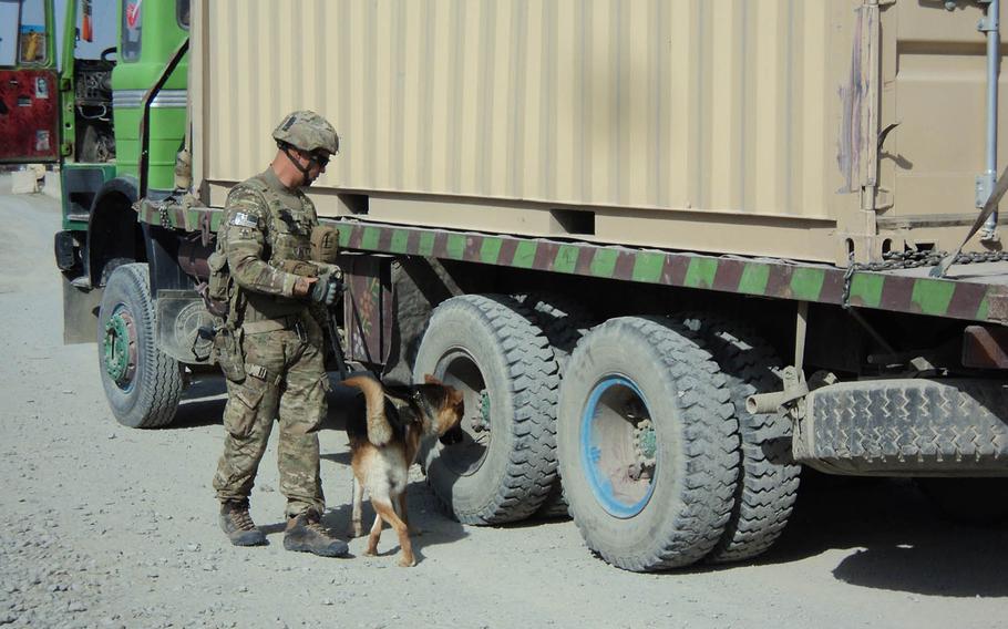 133p bsStaff Sgt. Shawn Martinez and Bono, a tactical explosive detection dog, inspect an Afghan truck for explosives near Forward Operating Base Sharana, Afghanistan in 2012. Martinez, Bono's handler on the deployment, later adopted him.
