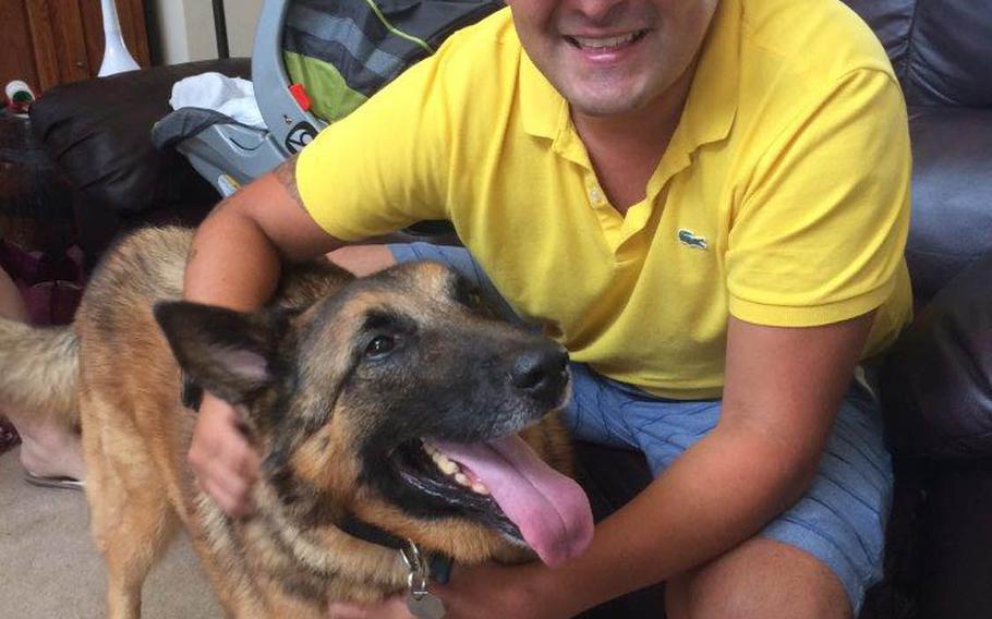 25p bs
Tactical explosives detection dog Ben and Julio Munoz, his former handler, catch up in August 2017 at the home of his adopted owner, Kim Scarborough.Scarborough sought to reunite the two after she adopted Ben from the Army in 2014.