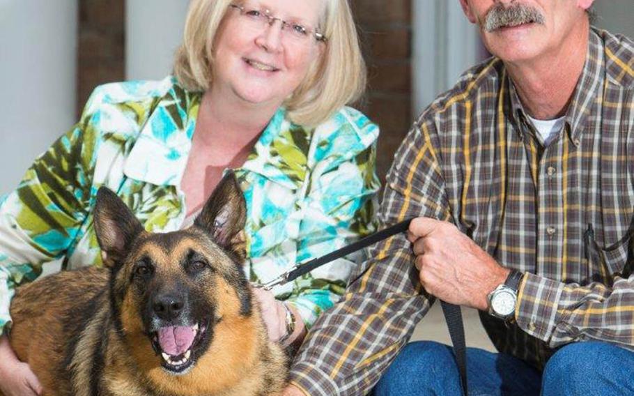 Kim Scarborough, left, and her husband Paul pose with their adopted dog Ben, a miltiary war dog, at their home in Kinston, North Carolina in November 2015. After adopting Ben from the Army, Kim searched and ultimately found Ben's handler in Afghanistan and reunited them.
Courtesy Kim Scarborough