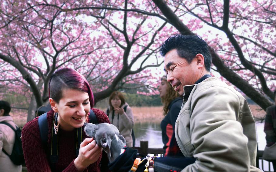 Navy spouse Sarah Peets greets a Japanese man and his dog during the recent Miurakaigan Cherry Blossom Festival near Yokosuka Naval Base, Japan.