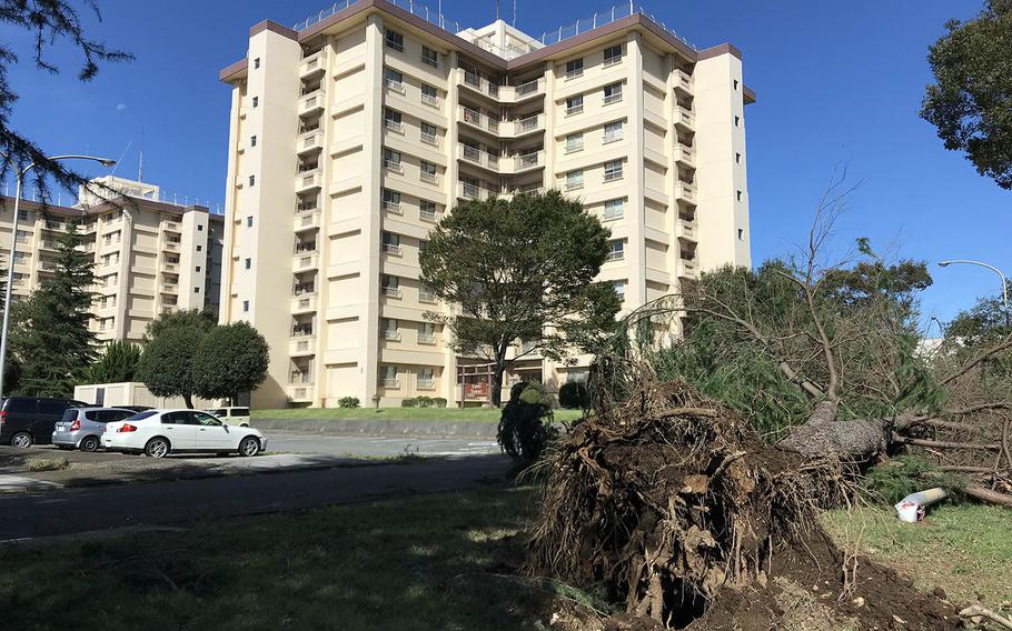 Officials said Typhoon Trami toppled more than 100 trees at Yokota Air Base, Japan, Monday. Oct. 1, 2018.