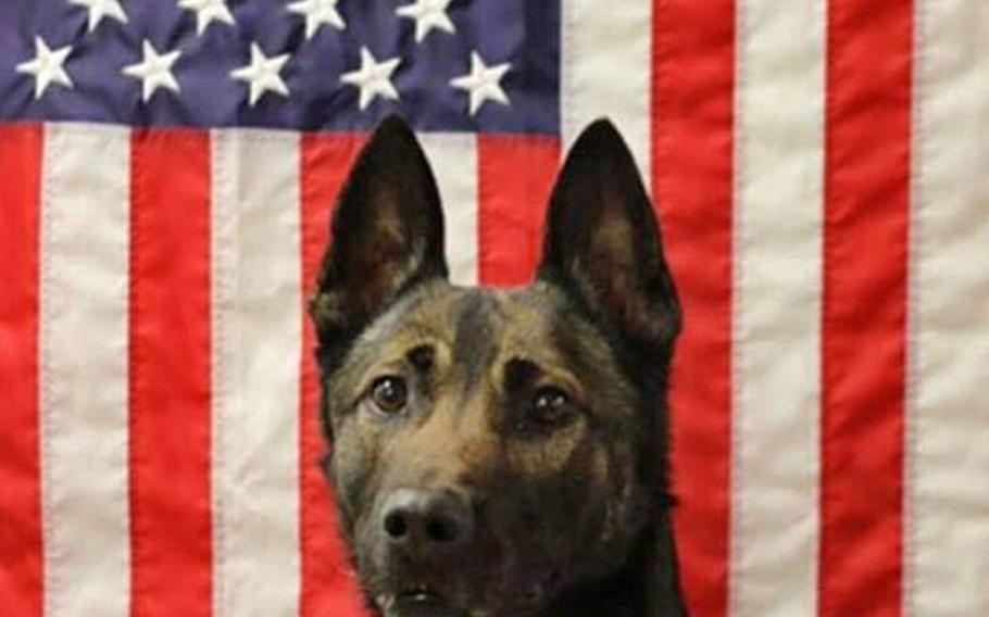 Along with Sgt. Leandro A.S. Jasso, multi-purpose canine Maiko was killed in action on Nov. 24, 2018, in Afghanistan.