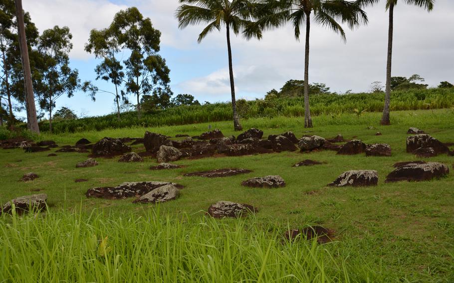 Fields of sugarcane and pineapples surround the grounds of Kukaniloko Birthstones State Monument, where high-ranking Hawaiian royals in ancient times gave birth.