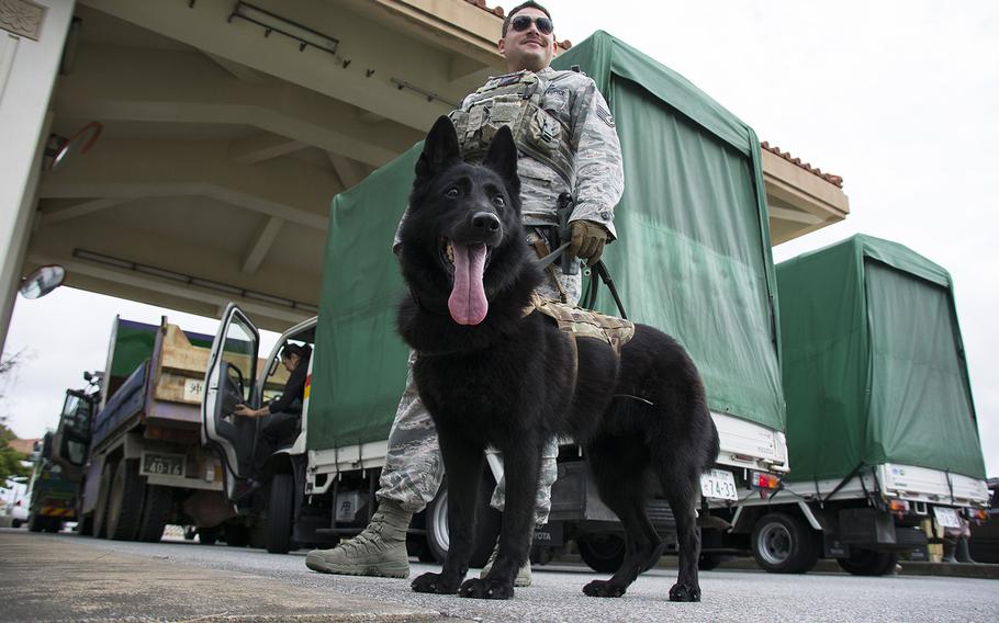 Staff Sgt. Eduardo Alcaraz of the 18th Security Forces Squadron stands guard with his military working dog at Kadena Air Base, Okinawa, Nov. 19, 2018.