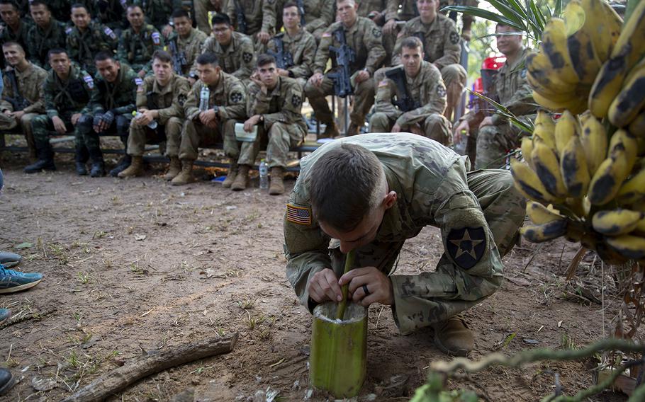 U.S. Army Spc. Louis Smith, of Bravo Company, 5th Battalion, 20th Infantry Regiment, drinks water from the base of a banana tree during exercise Cobra Gold 19 at Phitsanulok, Thailand, on Feb. 13, 2019.