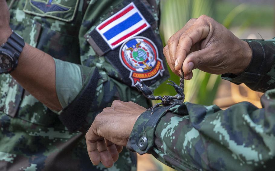 A scorpion lays on the arm of a Royal Thai Armed Forces soldier during exercise Cobra Gold 19 at Phitsanulok, Thailand, on Feb. 13, 2019.