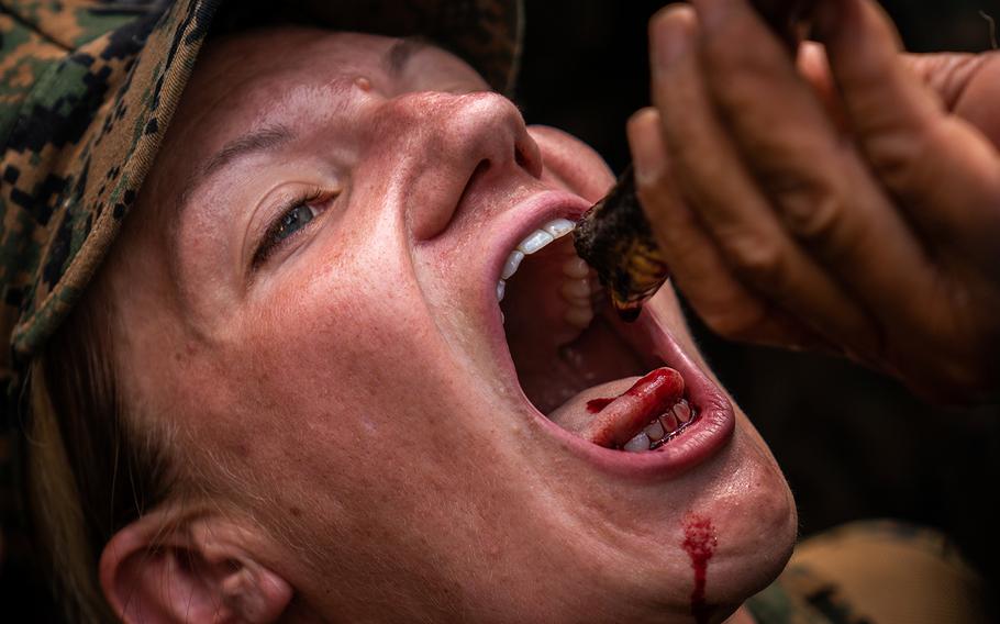 A Marine drinks the blood of a king cobra as part of jungle survival training during exercise Cobra Gold in Chanta Buri, Thailand, Feb. 14, 2019.