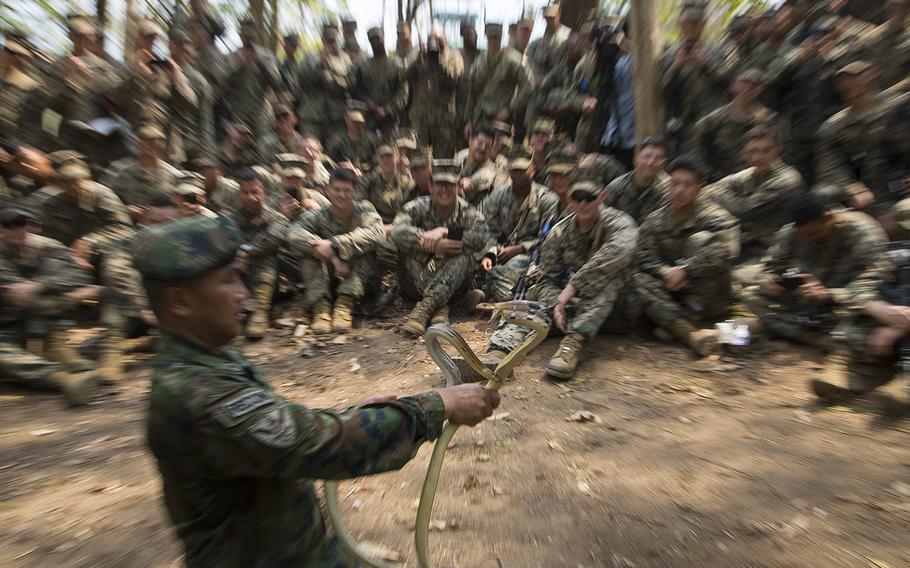 A Royal Thai Marine handles two snakes during jungle survival training as part of Cobra Gold 19 at Ban Chan Krem, Thailand, Feb. 14, 2019.