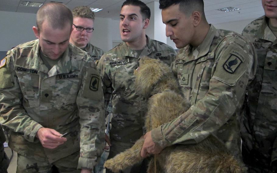 Combat medics with the 173rd Airborne Brigade start an IV on a dog mannequin as part of training on how to provide first aid to four-legged troops on Dec. 5, 2019, at Caserma Del Din in Vicenza, Italy.
