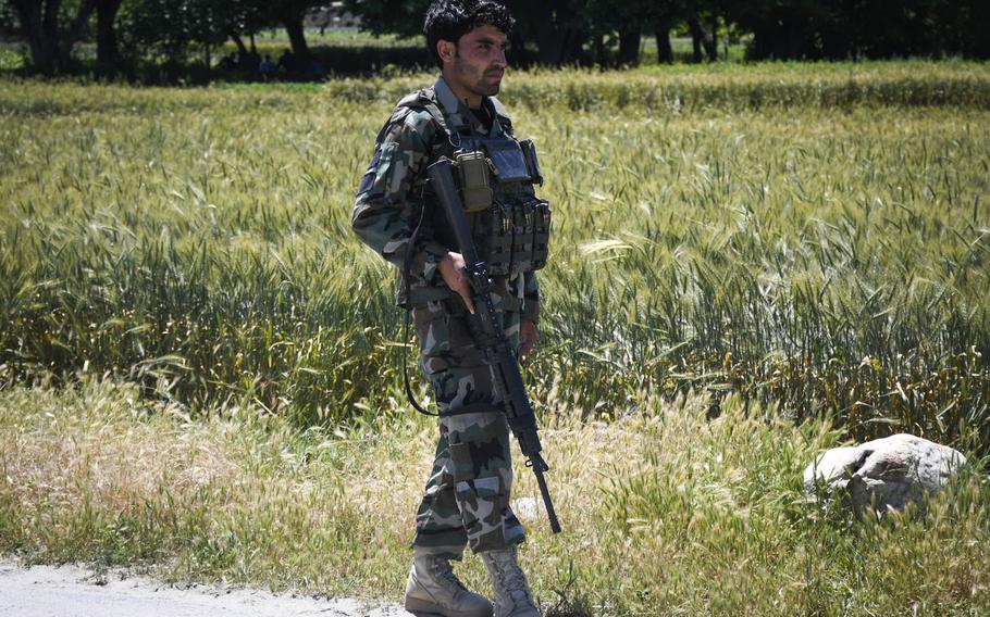 A member of the Afghan National Army's Territorial Force patrols a roadway to thwart the planting of roadside bombs in Nangarhar province May 10, 2020.
