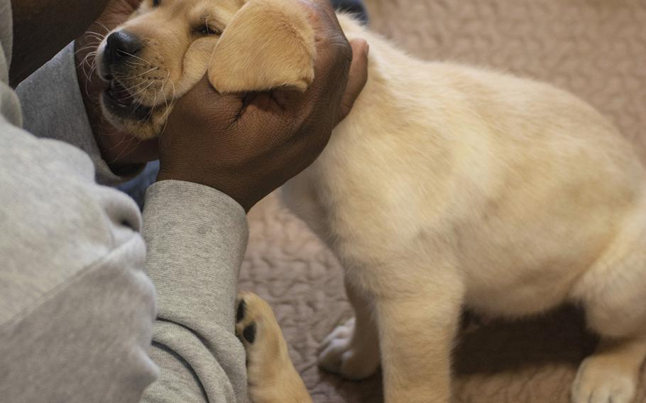 Cast of the new TV show "The Village" visit Warrior Canine Connection in Boyds, Maryland, on November 10, 2018, to learn about service dogs and their role helping veterans. The show will air in 2019. Here, military consultant Jamel Daniels plays with one of the WCC puppies. 