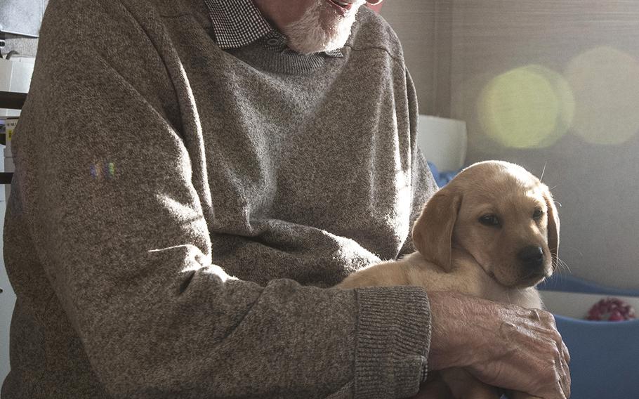 Dominic Chianese, part of the cast of the new TV show "The Village" visit Warrior Canine Connection in Boyds, Maryland, on November 10, 2018, to learn about service dogs and their role helping veterans. The show will air in 2019. 