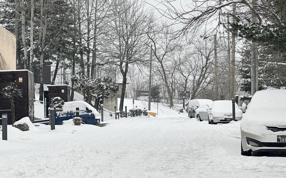 A residential street lined with cars and trees is covered by snow.