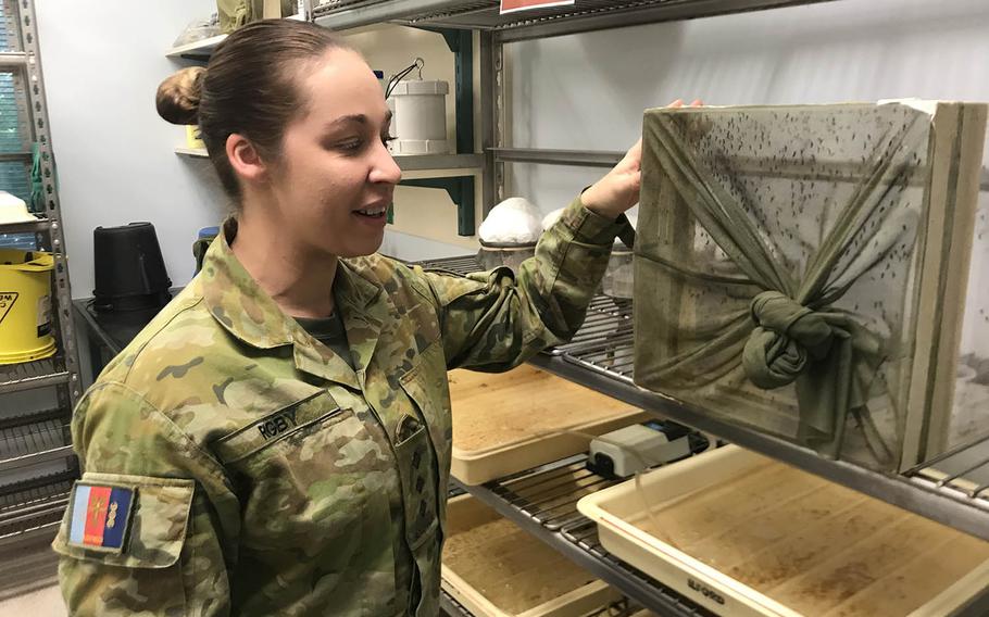 Australian army Capt. Lisa Rigby shows off a laboratory where mosquitos are hatched and fed at the Australian Defence Force's Malaria and Infectious Disease Institute in Brisbane, Australia, July 20, 2019.