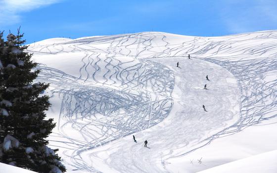 A group of skiers are seen on snowy slopes.