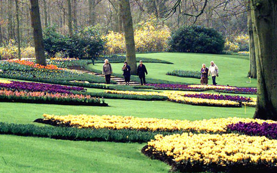 Holland's Keukenhof garden ready for the big show