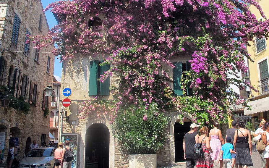 Wisteria covers several old stone buildings in Sirmione at the southern edge of Lake Garda in Italy.