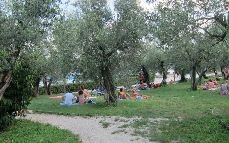 Sunbathers at Sirmione on Lake Garda, Italy, relax among the olive trees.