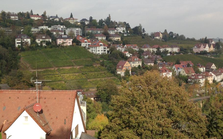 Vineyards and residential areas are next-door neighbors in Stuttgart, Germany. A year-round bus tour takes riders through downtown areas of the city as well as up into the hills.